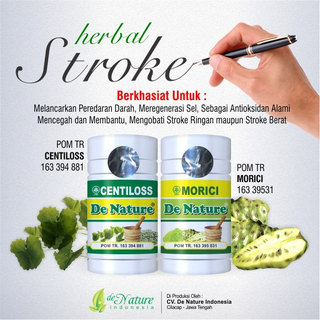 Illustration for article titled Obat Stroke Lumpuh Sebelah